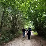 Hotel Silva Splendid 4*