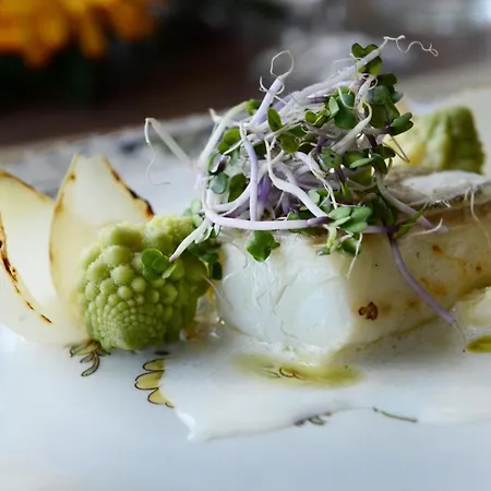 سيلفا سبليندد فندق