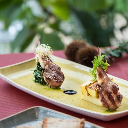 فندق سيلفا سبليندد