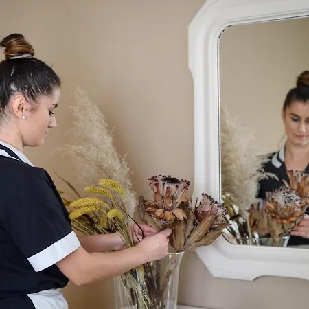 فندق سيلفا سبليندد 4*