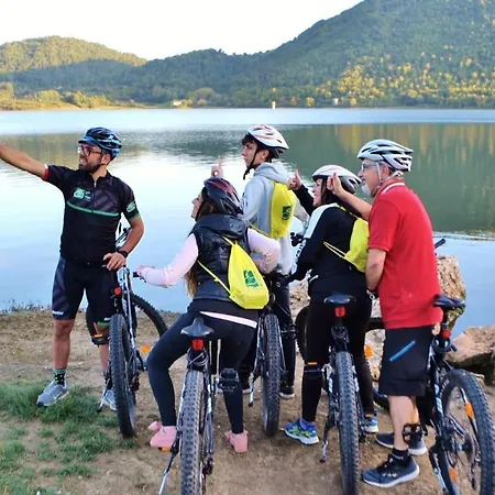 سيلفا سبليندد