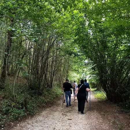 فندق سيلفا سبليندد 4*