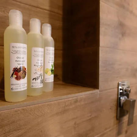 فندق سيلفا سبليندد 4*