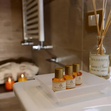 Silva Splendid Hotel 4*