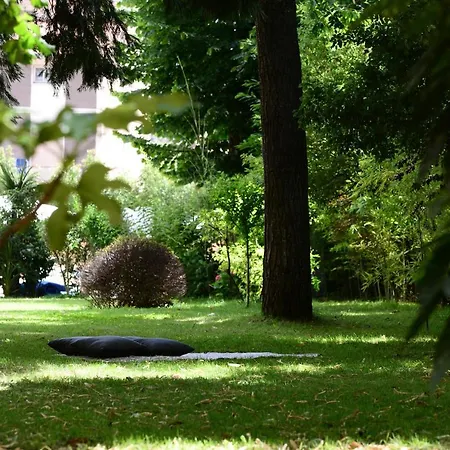 سيلفا سبليندد