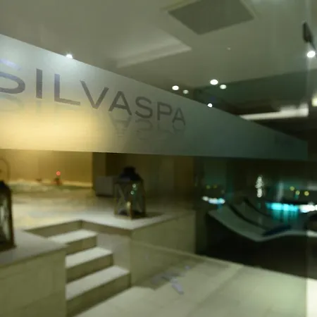 Отель Silva Splendid 4*