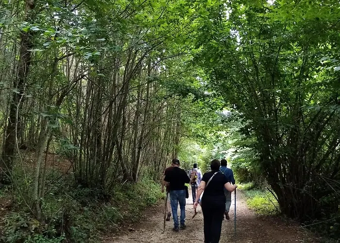 Hotel Silva Splendid 4*