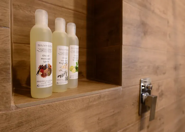 Hotel Silva Splendid 4*